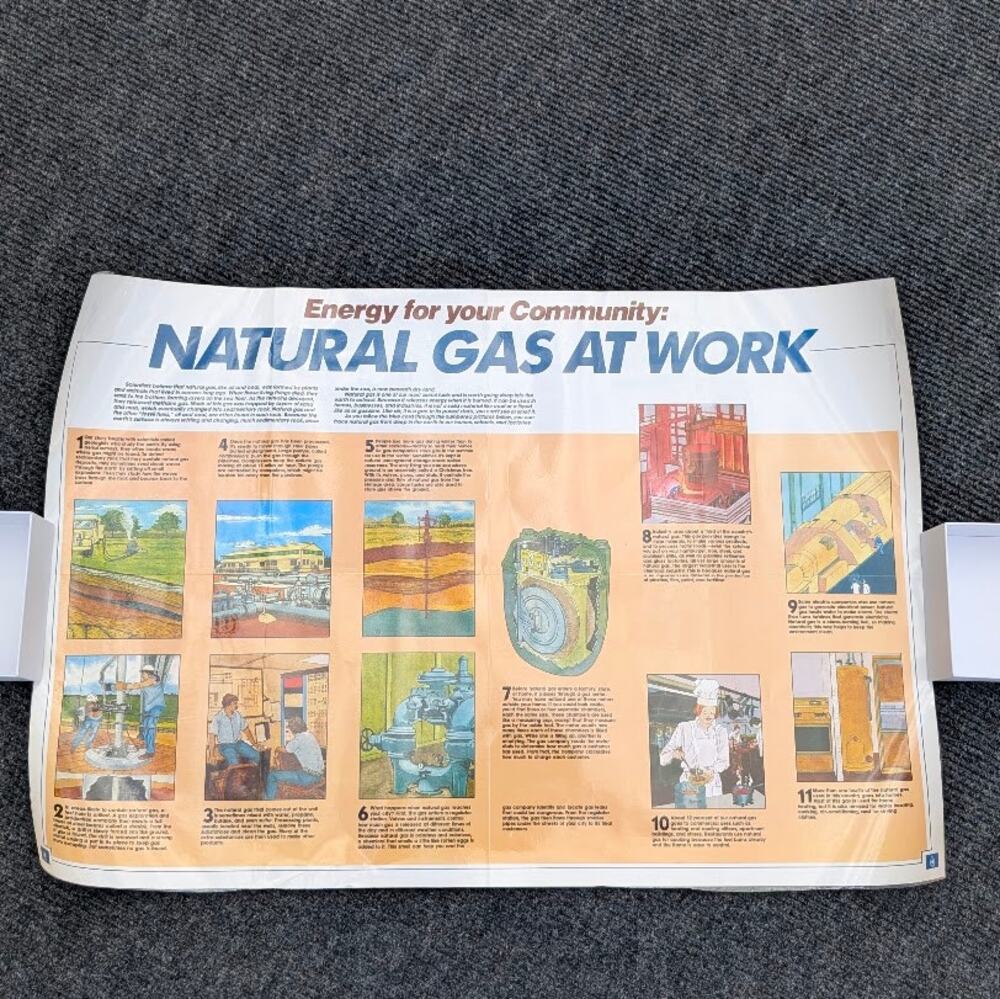 VTG 1990s Science Classroom Posters Gas Energy Coal Natural History Homeschool